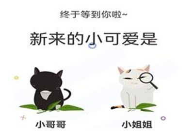 喵上漫画