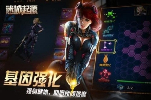 迷城起源的图册