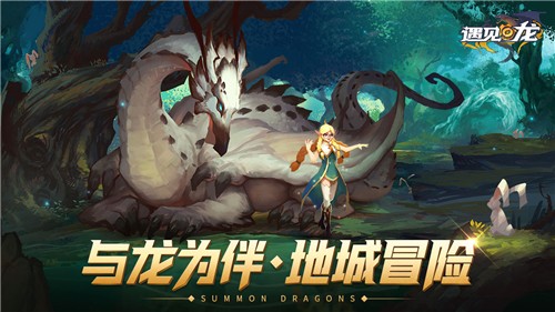 遇见龙测试服的图册