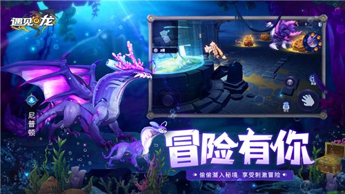 遇见龙测试服的图册