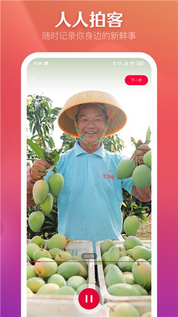N视频app的图册