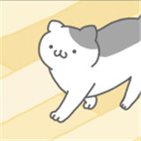 猫咪真可爱下载 猫咪真可爱（25.95GB）安卓版