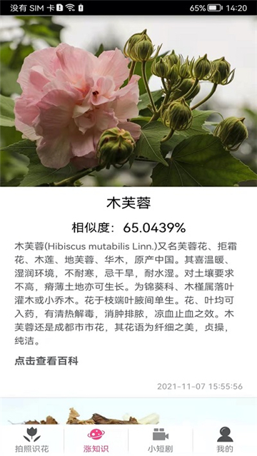 拍照识花神器的图册
