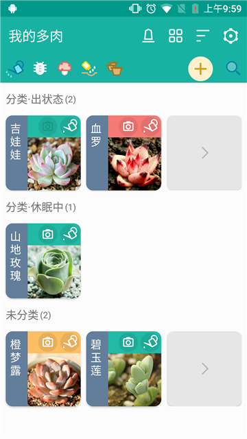 多肉成长记手机版的图册