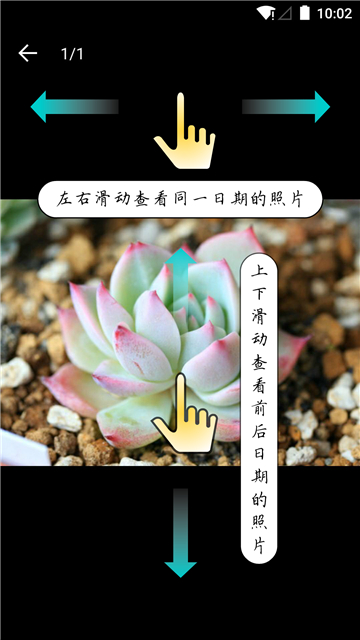 多肉成长记手机版的图册