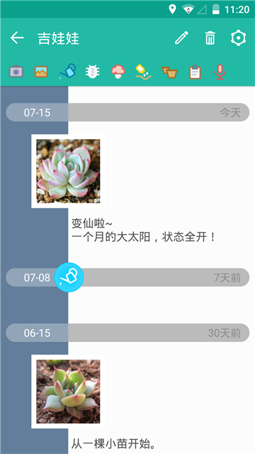 多肉成长记手机版的图册