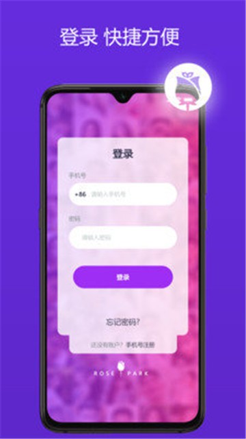 玫瑰夜的图册