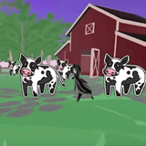 大满贯app官方版下载安装