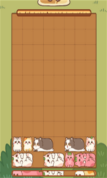 滑行猫咪