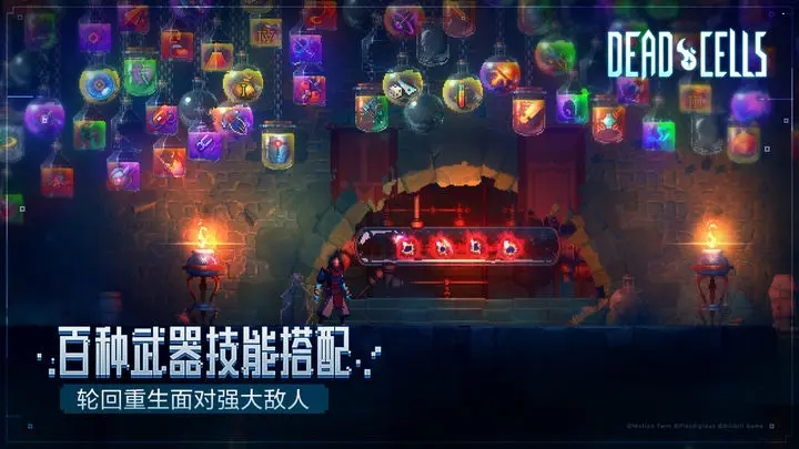 死亡细胞免费版完整版中文的图册