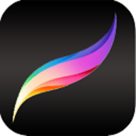 procreate下载