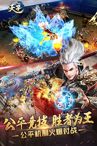 天子单职业