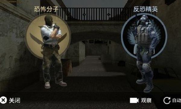 csgo正版的图册
