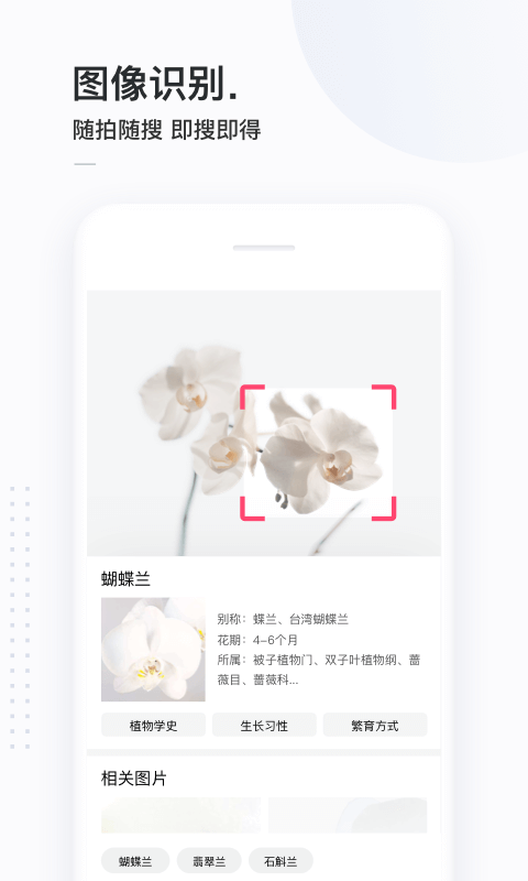 简单搜索百万英雄答题神器的图册