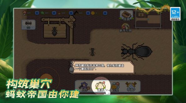 蚂蚁之王复仇版的图册