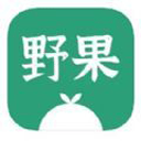 野果阅读手机版
