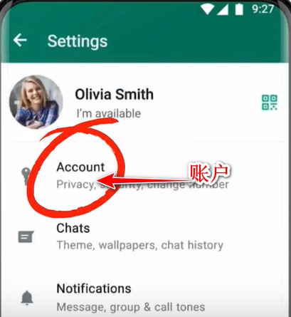 whatsapp2024中文版下载-whatsapp2024中文最新免费下载安卓手机官方正版