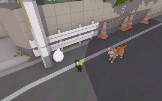 小猫咪大城市的图册