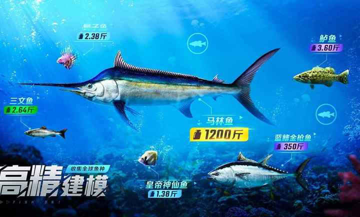 Fish On截图3