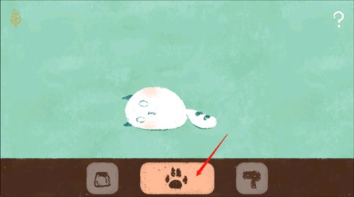 PetFurball3