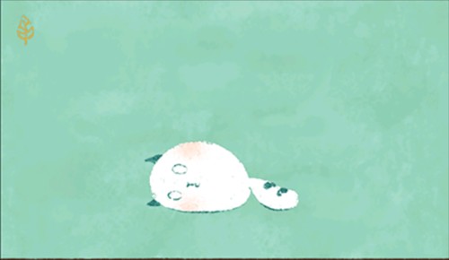 PetFurball7