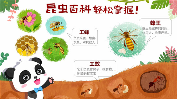 奇妙昆虫世界截图0
