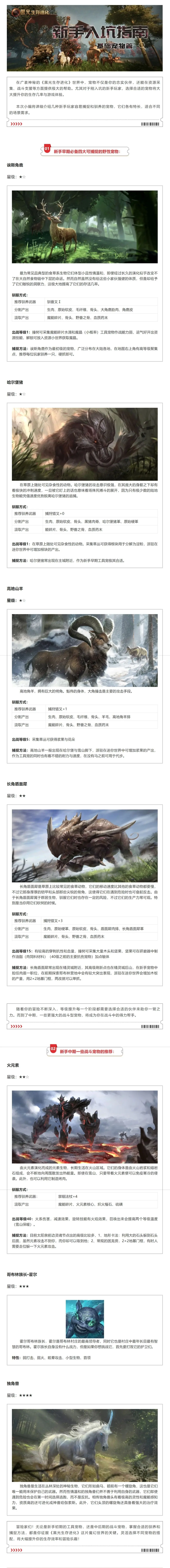 黑光生存进化