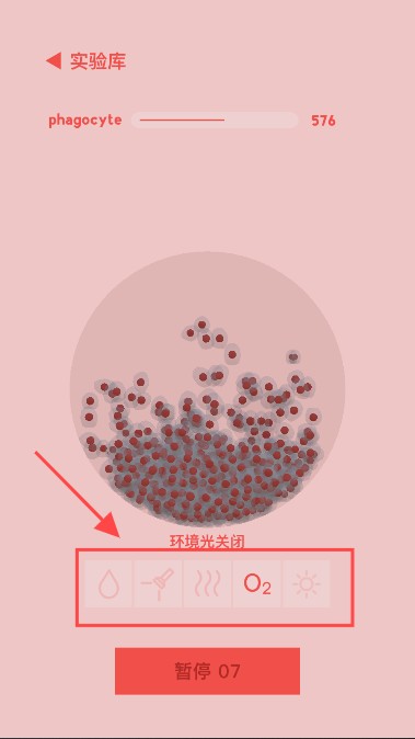 微观micro