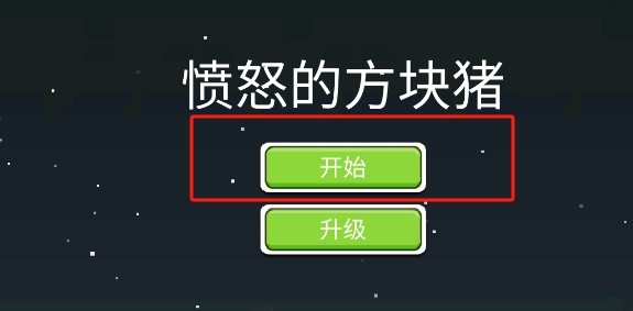 愤怒的方块猪