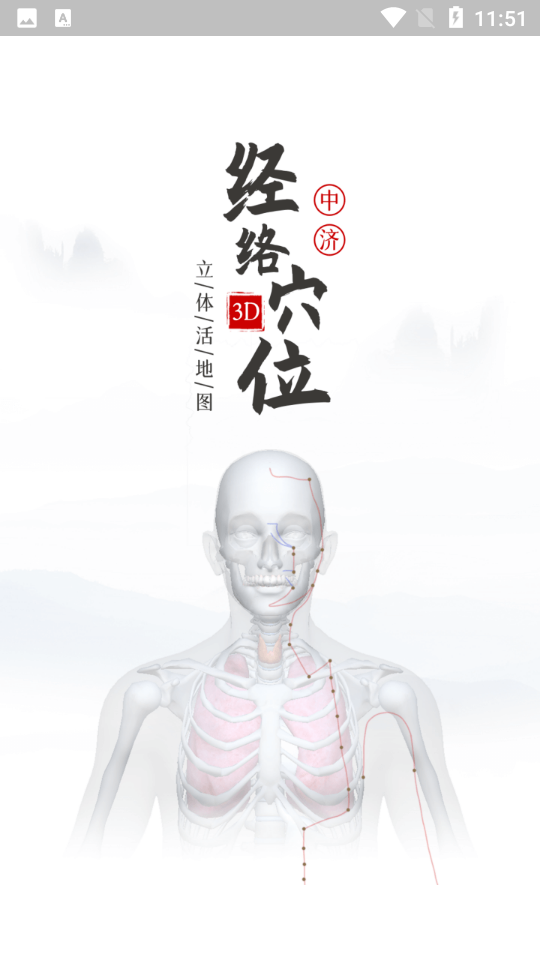中济经络穴位