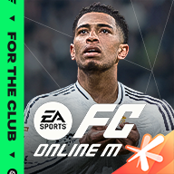 Fc online4