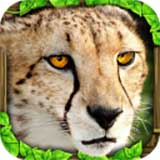 猎豹模拟器无限经验版下载 猎豹模拟器无限经验版（V3.9.1）wap版