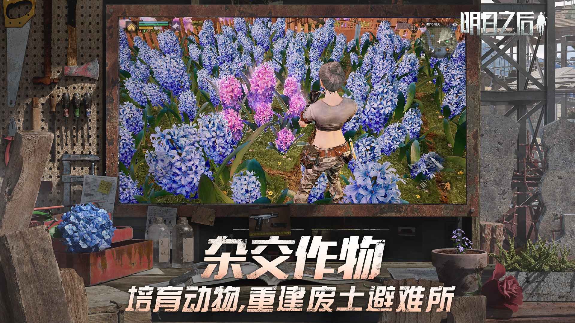明日之后网易版截图4