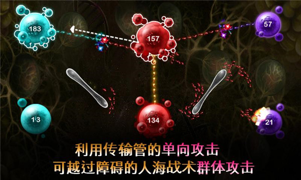 繁殖战争2截图1