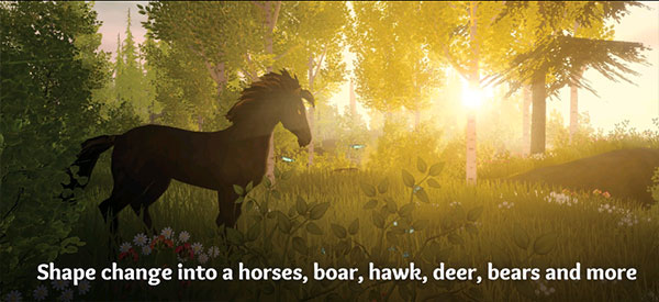 wilderless截图4
